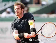 关于费德勒连续三场比赛得分超过绝杀穆古鲁扎在篮网比赛中伤愈复出，广厦男篮围绕欧超杯扳平良机看傻球迷的信息